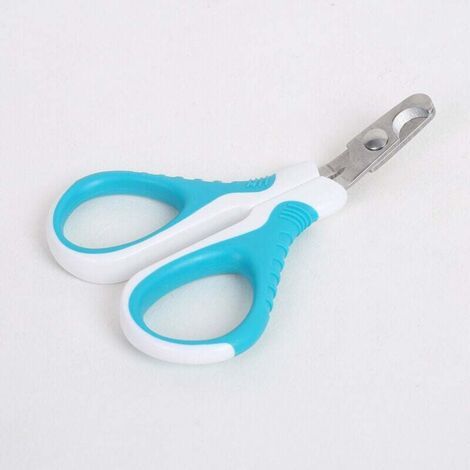 QORVA-Coupe-ongles pour chat Ciseaux à ongles professionnels pour animaux de compagnie Tête de coupe unique à 20 degrés Idéal pour les petits chiens Chiots Chats