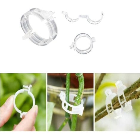 Filiyano-Pinces pour tuteurs/treillis, paquet de 100, transparentes (1/5)