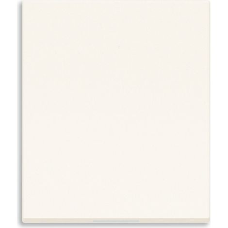 VIMAR - 31000S.2B Tasto 2M fascio luce verticale bianco
