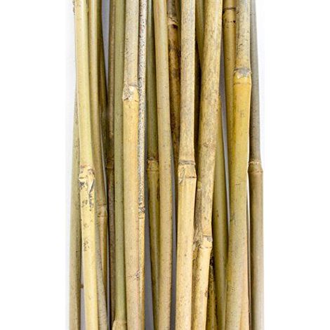 Tuteurs Bambou 120 cm - Pack de 25 pcs (1/5)