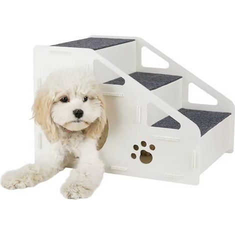 Rampe d'accès pour chiens (1/5)