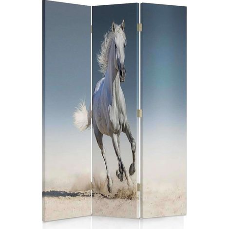 Paravent Cheval Majestueux sur Sable pour Décoration Intérieure - 110 x 180 cm - 1 face déco, 1 face noir