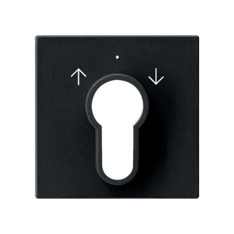 Gira Copr. Interruttore a chiave/pulsante System 55 Nero m [0664005], 0664 005