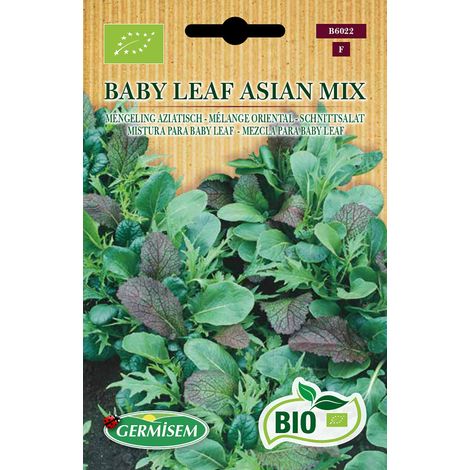 Graines Mélange oriental Baby Leaf Asian Mix