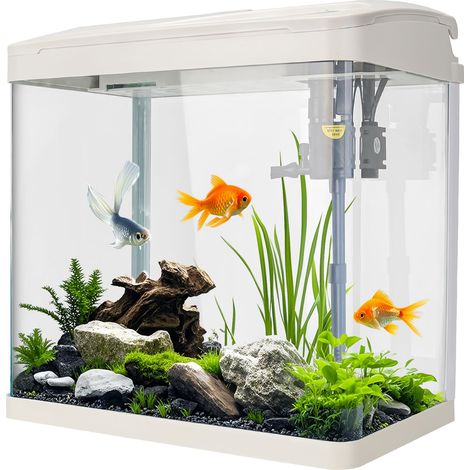 Aquarium en verre transparent de 17 l avec éclairage LED, système de filtration avec pompe blanche pour poissons tropicaux (1/5)