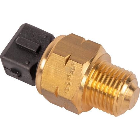 Thermostat lombardini ed0091951080s (1/2)