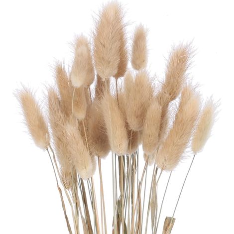 60 pcs bouquets fleurs séchées queue lapin, herbe pampa blanche, décoration mariage fête