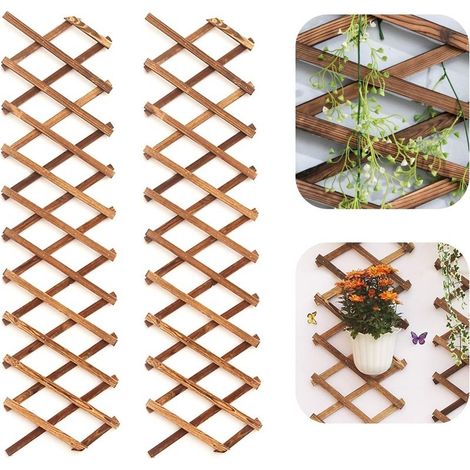 Lot de 2 Treillis Jardin en Bois pour Plantes Grimpantes - Cadre Suspendu Extra Épais et Extensible pour Plantes - Support Idéal pour Plantes, Fleurs, Légumes de Jardin ou Potager (200 X 30 cm (1/5)