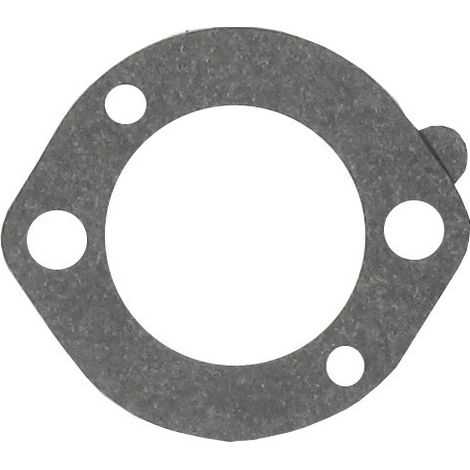 Guarnizione filtro aria BRIGGS ET STRATTON 696024