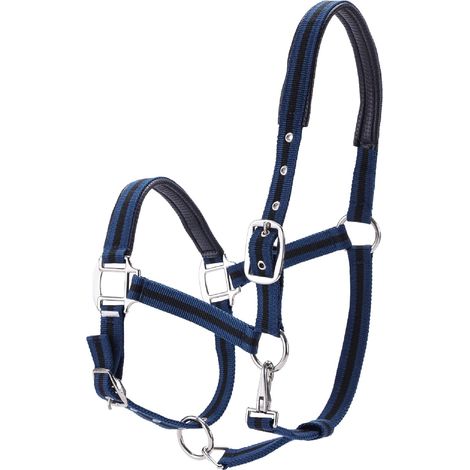 Licol Réglable pour Chevaux, Licol d'Entraînement, Bleu Cob (1/5)
