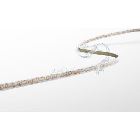 Strip led 100w 4000k ip65 cri93 24v 5m century accento pro acp65-2024040 (1/3)