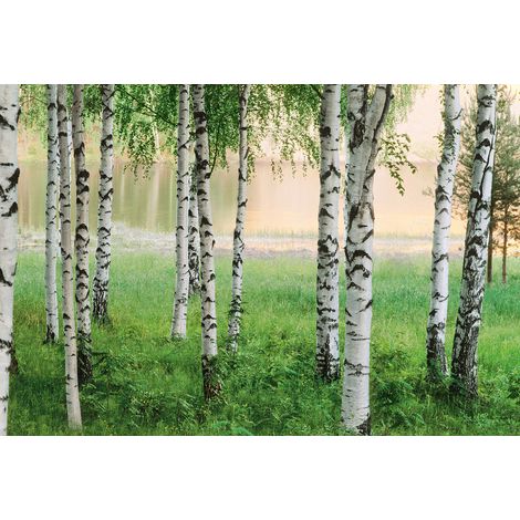 Papier peint panoramique lac & forêt vert | Tapisserie panoramique nature 3D | Papier peint panoramique idéal chambre & couloir - 384 X 260 cm (8 pièces) (1/2)