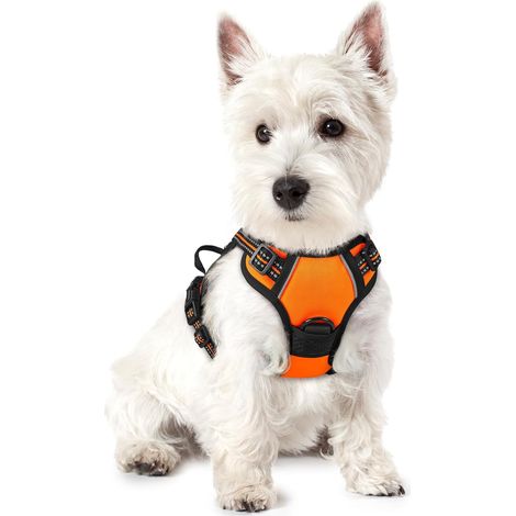 Oranges Hundegeschirr, Größe S, Brustumfang 34–63 cm, 1 Stück, verstellbar, gepolstert, Hundeweste, Polyester, Haustierweste