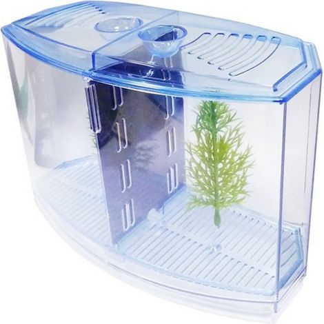 Boîte d'élevage de poissons, chambres doubles, Mini Aquarium en plastique, incubateur d'isolation pour paon (1/5)