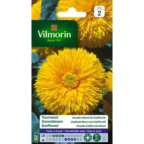 Vilmorin - Tournesol double géant de Californie (1/2)