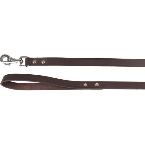 Laisse Brun 130CM 20MM