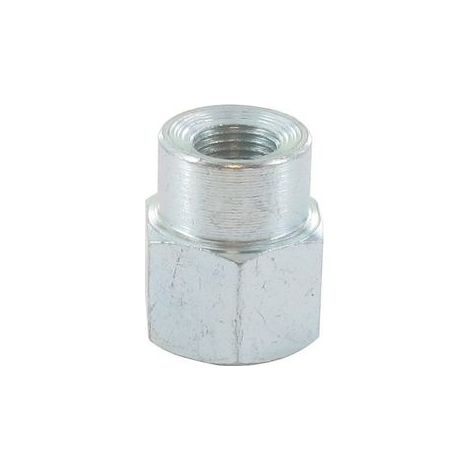 Adaptateur pour tête de débroussailleuse nylon 25-2 – Compatible STIHL M10x1,00 – Coupe précise pour terrains difficiles