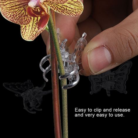 100 Stück Blumenstielbinder, Pflanzenstützen für Orchideen, Gartenstäbe aus Kunststoff (1/5)