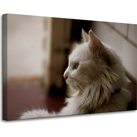 Lienzo impreso con diseño de un gato blanco, 90x60 cm.