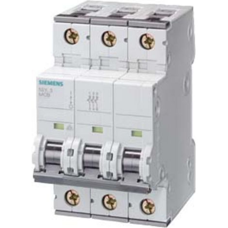 Siemens 5SY63106 5SY6310-6 Leitungsschutzschalter     10 A  230 V, 400 V