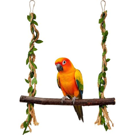 Jouet pour perruche en bois naturel, balançoire et perchoirs, accessoires de cage à oiseaux pour perroquets, perruches, canaris et petits oiseaux de taille moyenne, jouet d'activité (1/5)