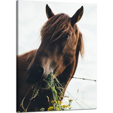 Lienzo impreso con la imagen de una cabeza de caballo (50x70 cm) y un establo.