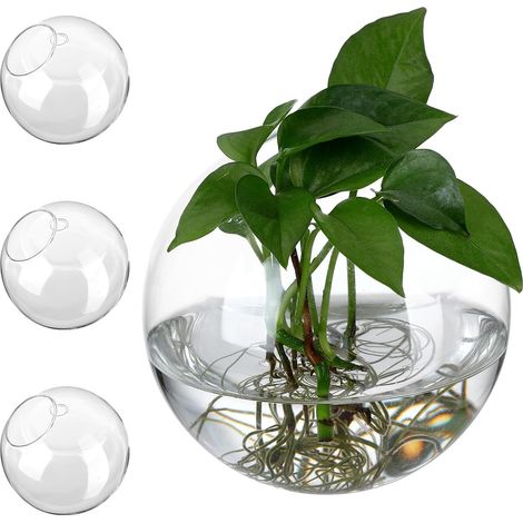 4 Stück Glas Wandpflanzgefäße mit Runder Form Glatter
