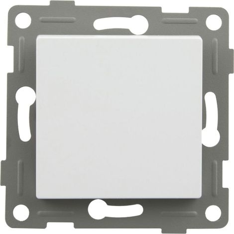 Interrupteur onlex onlex 10A 250V design modulaire (1/2)