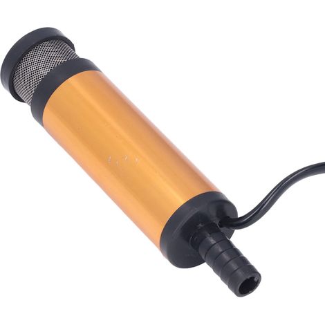Pompe à transfert de carburant diesel 12V portable avec filtre intégré, diamètre 38mm (1/5)