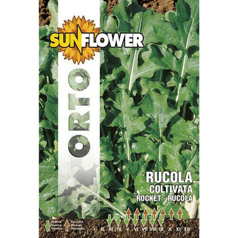 Graines de Roquette Cultivée Feuille Large Tournesol
