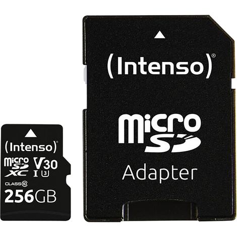 Carte microSDXC INTENSO 3433492, 256 Go (1/2)