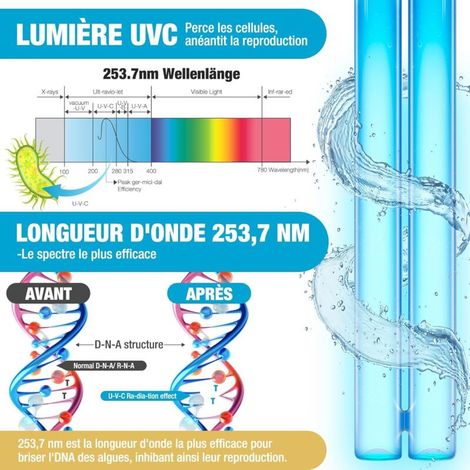 Ampoule de Remplacement UVC G23 PLS, Ballast Inductif, pour Clarificateur Bassin, Filtre UVC, Élimine Bactéries, Algues Efficacement pour Étangs(Lot de 2) (1/3)