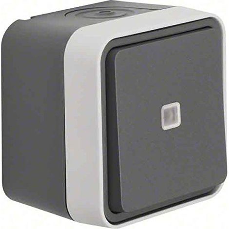BERKER BOUTON POUSSOIR INVERSEUR 50763505 GRIS CLAIR W.1 BOUTON-POUSSOIR 4011334395263