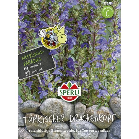 Sperli Türkischer Drachenkopf - Blumensamen
