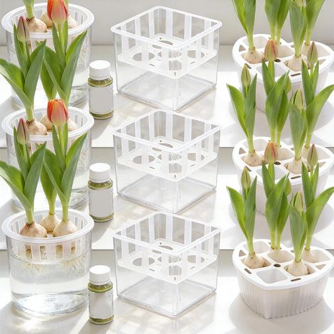 Pots hydroponiques à 6 compartiments pour tulipes, bulbes, paniers de support respirants en plastique, conteneurs de plantation de fleurs, pots de pépinière hors-sol pour jardinage (1/4)