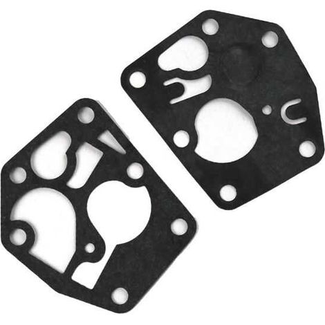Kit réparation Briggs & Stratton Nevada 49-0070NV (1/2)