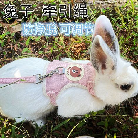Harnais pour Lapins Cochons d'Inde Petits Animaux avec Laisse Élastique Gilet Souple pour Promenade (S, Rose) (1/5)