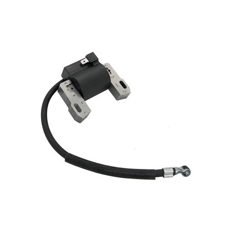 Bobine d'allumage compatible 691060 592846 799651 499447, bobine allumage Briggs, pièce rechange moteur, remplacement direct (1/4)