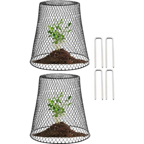 2 Pièces Cloche de Jardin, Cloche de Jardin en Fil de Fer, Cage de Protection des Plantes, Avec 10 clous en forme de U,Noir (1/4)