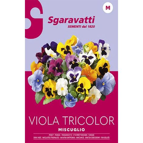 Semi per Prato Universale Sgaravatti Viola Tricolor Miscuglio 20 Pezzi (1/2)