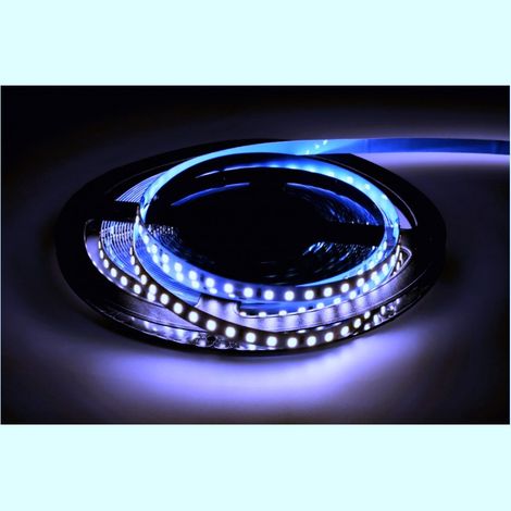 Jandei - Tira led 24V 6000K 4,8W/m IP20. 120led/m. SMD2835 10 metros