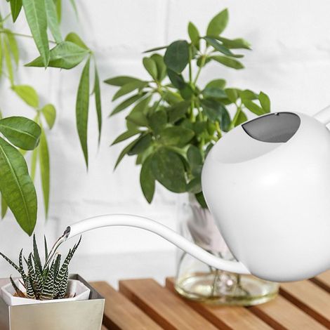 Regadera Mano-Max – Regadera multifuncional de gran capacidad y boquilla larga para plantas de interior y jardín, 1200 ml, blanca – 1 unidad – Acero inoxidable + madera (1/5)