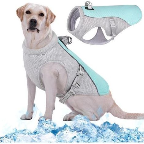 Kühlweste für Hunde, atmungsaktive Kühljacke für Haustiere, Sommerweste für Hunde für Outdoor-Aktivitäten (XXX-Large) (1/5)