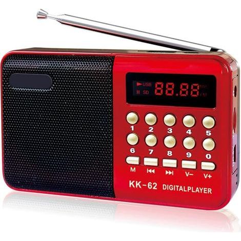 Radio FM Digitale Multifunzionale, Altoparlante Multimediale, Lettore Musicale MP3, Supporto per Scheda TF, Chiavetta USB, Display, Regalo per Anziani (1/4)