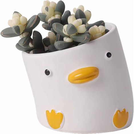 Entenförmiger Keramik-Blumentopf, Miniatur-Blumentopf für Kakteen und Sukkulenten, niedlicher Deko-Blumentopf – 9 x 9 cm