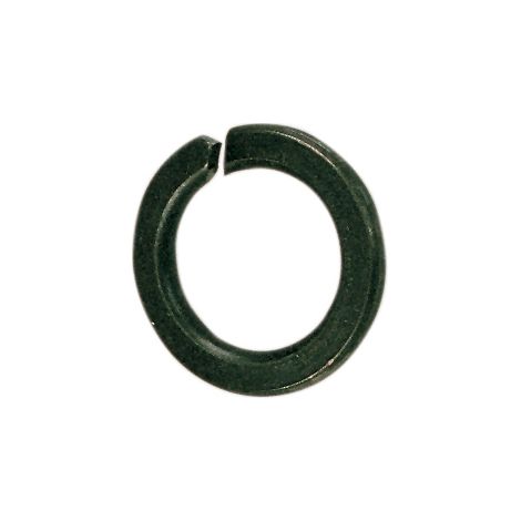 SC RONDELLA GROWER D 10 MM DA  80 PZ- 5,0 pz