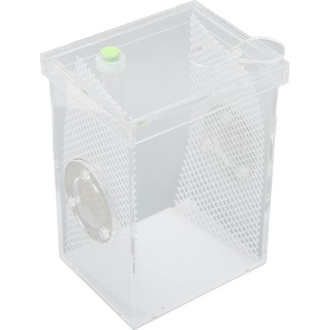 Terrarium pour reptiles et insectes, mini, en acrylique haute transparence, avec système d'hydratation, pour l'élevage de reptiles et insectes (taille L). (1/5)