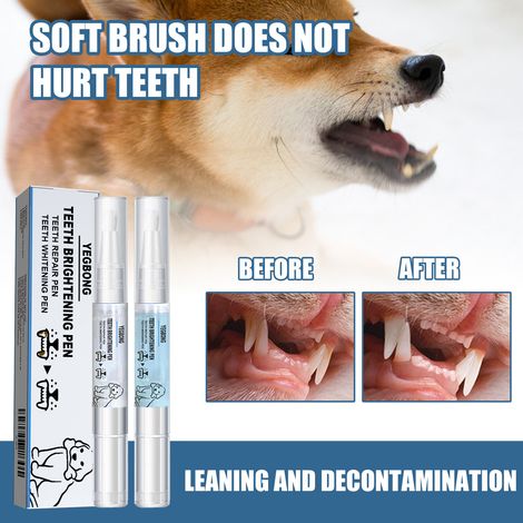 Stylo blanchissant pour dents d'animaux - un outil pour nettoyer le tartre et la plaque dentaire des chiens et des chats. (1/5)