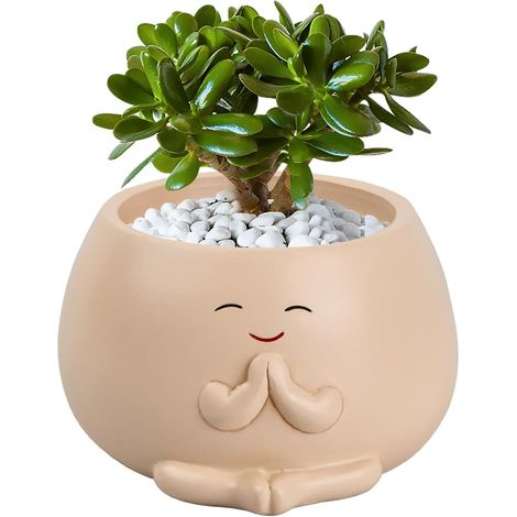 Pot de Fleurs de Jardin, Pots de Succulentes Visage Souriant, Pots Succulents Smile Face Portable avec Trou de Drainage, Pot de Fleurs en Résine Décoration d'Intérieur pour Jardin, École, Maison (1/5)