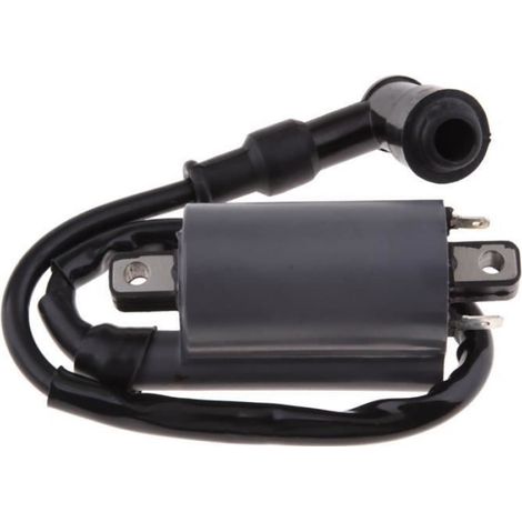 Bobine D'allumage De Moto Haute Performance, Pour Buyang Feishen Linhai 260 260cc 300cc D300 G300 Atv